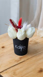 Nora candle