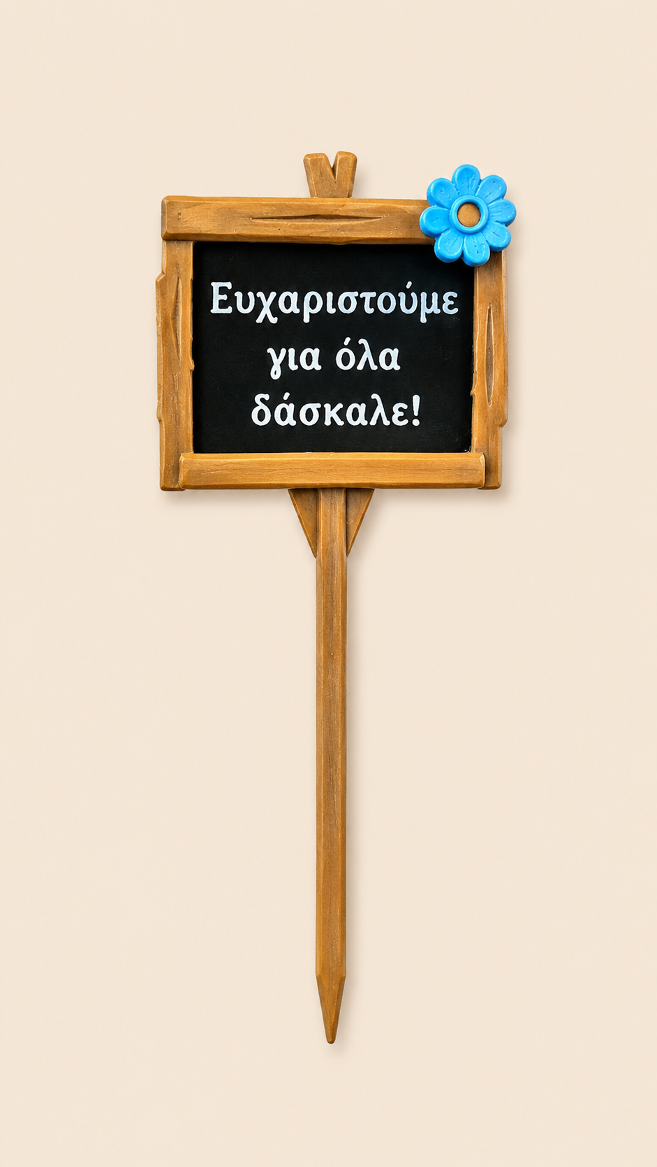 Ευχαριστούμε για όλα δάσκαλε